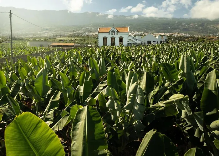 Willa Hacienda Orovales Puerto de la Cruz (Tenerife)